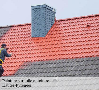 peinture-sur-tuile-et-toiture