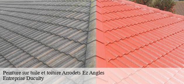 peinture-sur-tuile-et-toiture