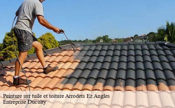 peinture-sur-tuile-et-toiture