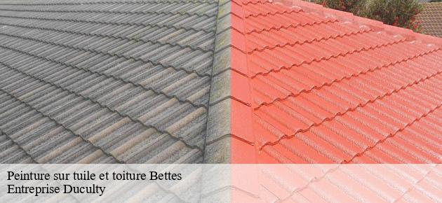 peinture-sur-tuile-et-toiture