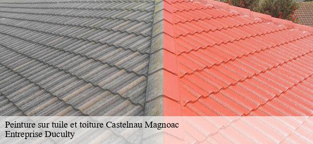 peinture-sur-tuile-et-toiture