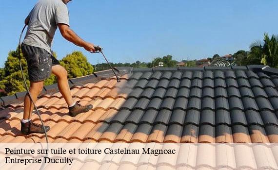 peinture-sur-tuile-et-toiture