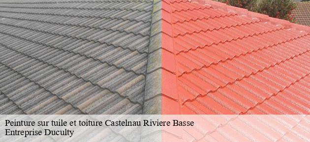peinture-sur-tuile-et-toiture