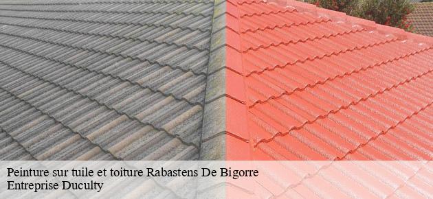 peinture-sur-tuile-et-toiture