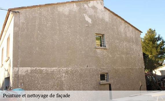 peinture-et-nettoyage-de-facade